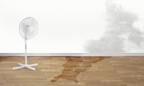 Best Water damage restoration specialists  in North Industry, OH