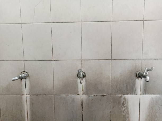 Best Flooded house restoration  in North Industry, OH
