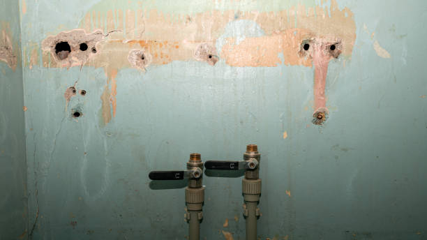Best Professional water damage repair  in North Industry, OH