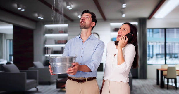 Best Water damage mitigation services  in North Industry, OH